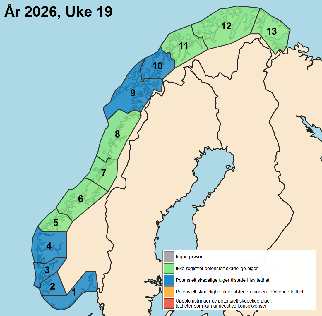 uke 19
