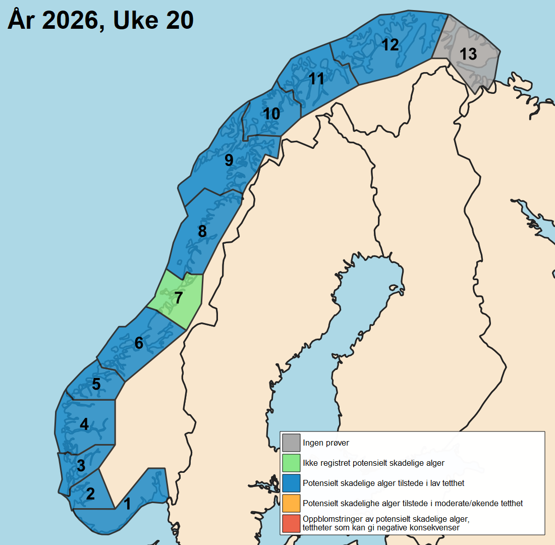 uke 20
