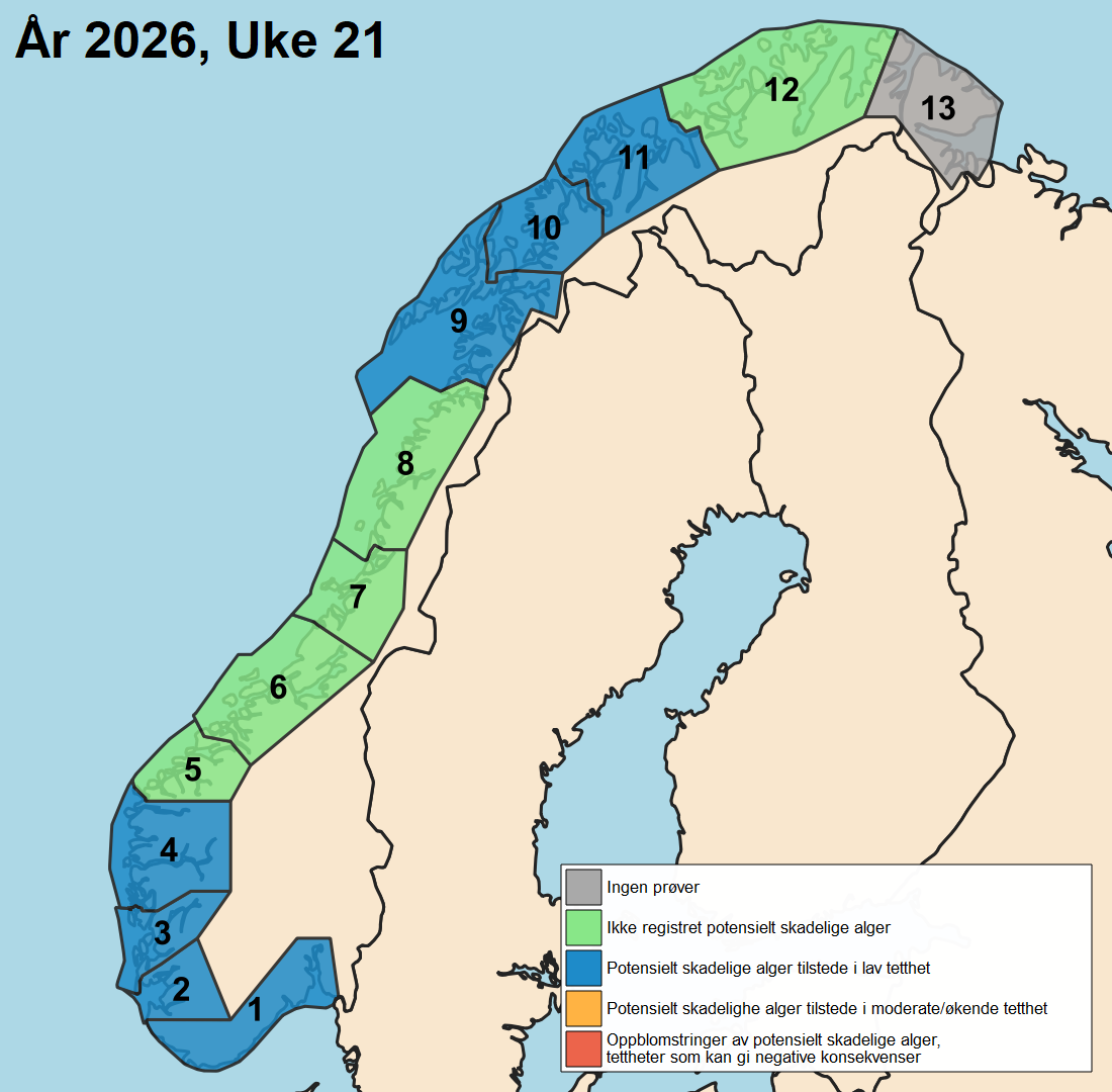 uke 21