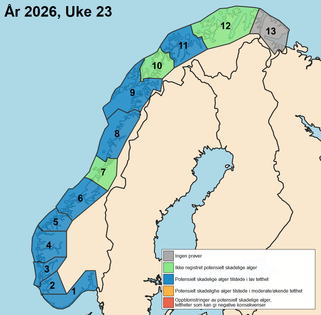 uke 23