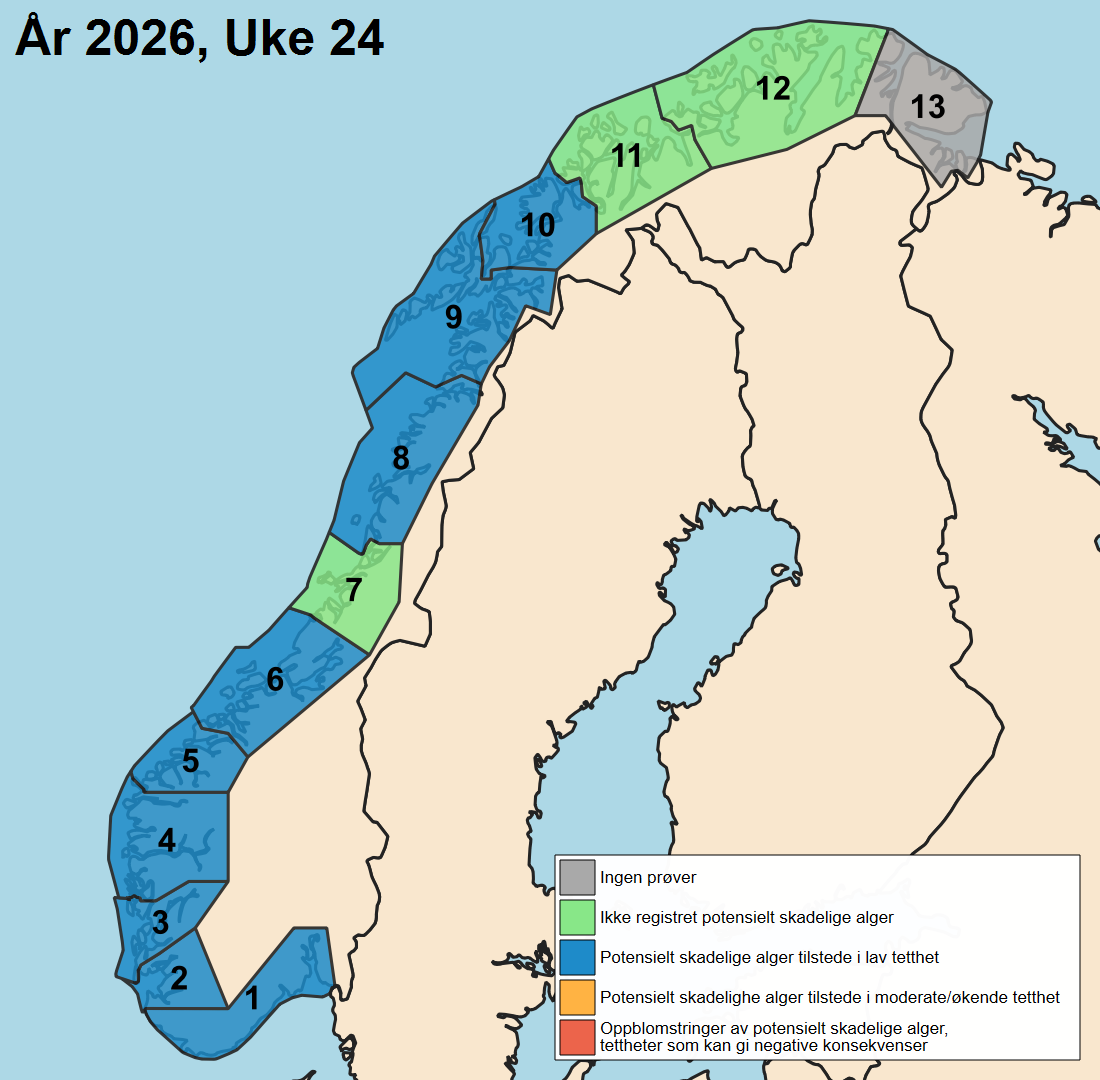 uke 24