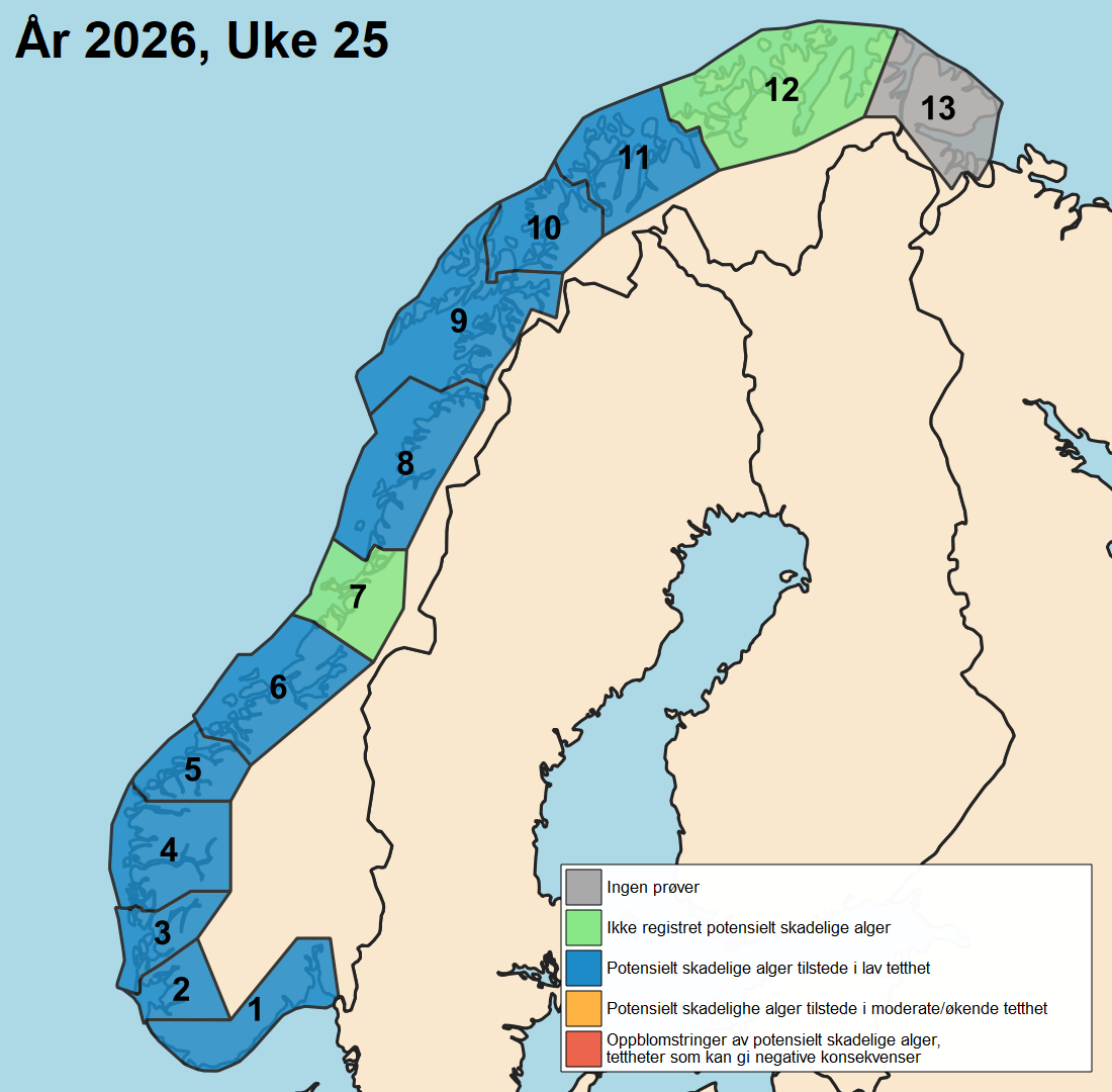 uke 25