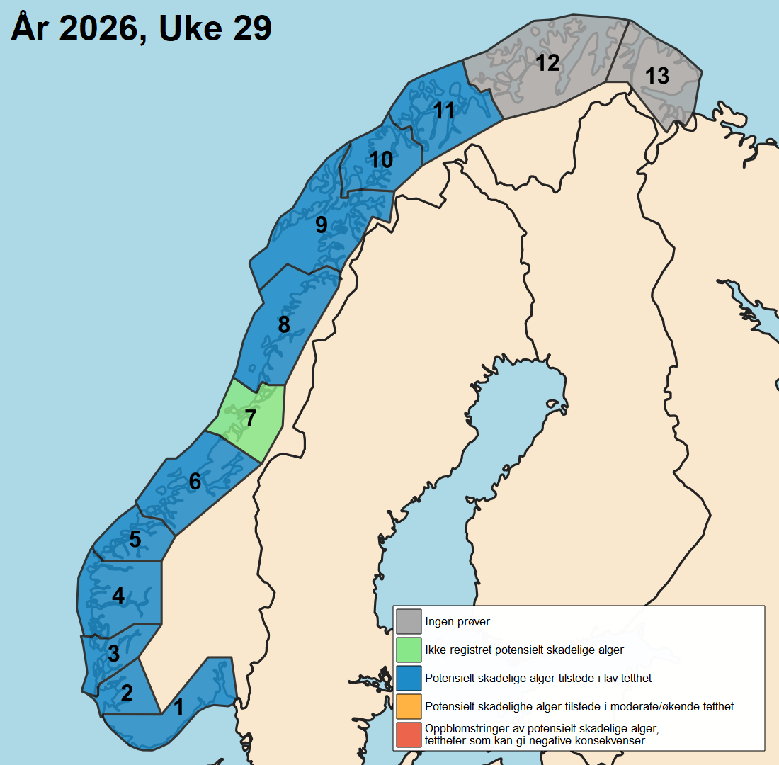 uke29