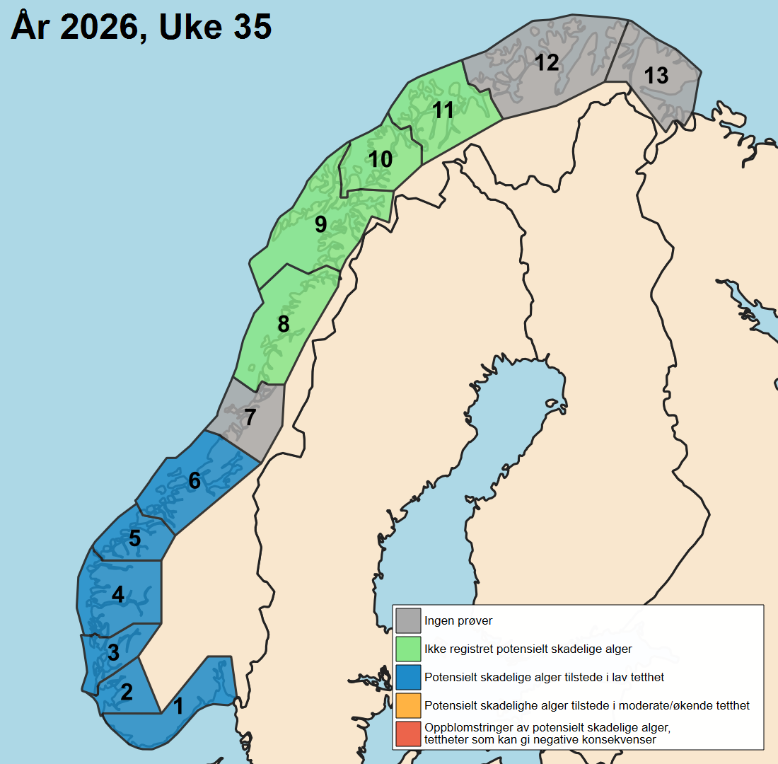 uke 35