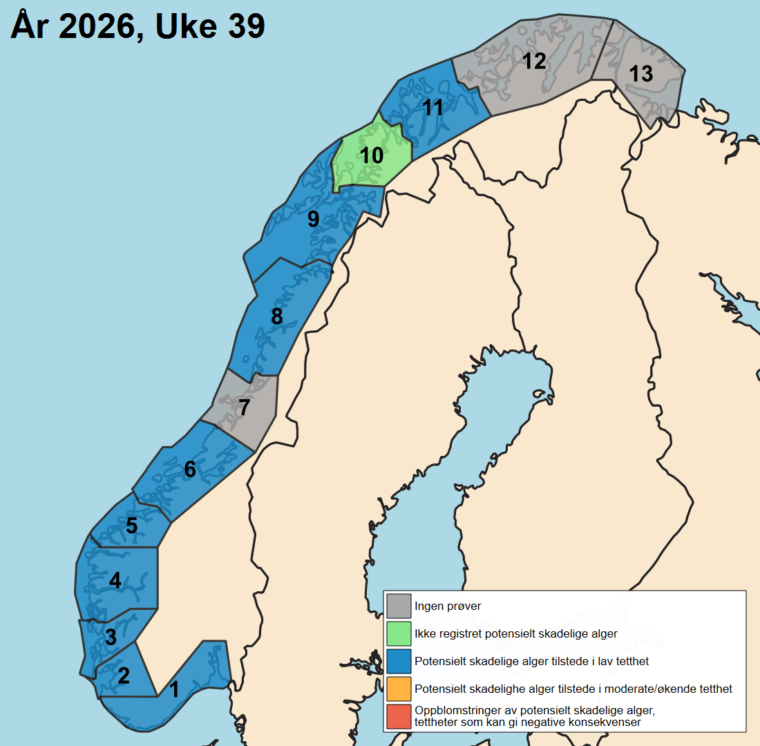 uke 39