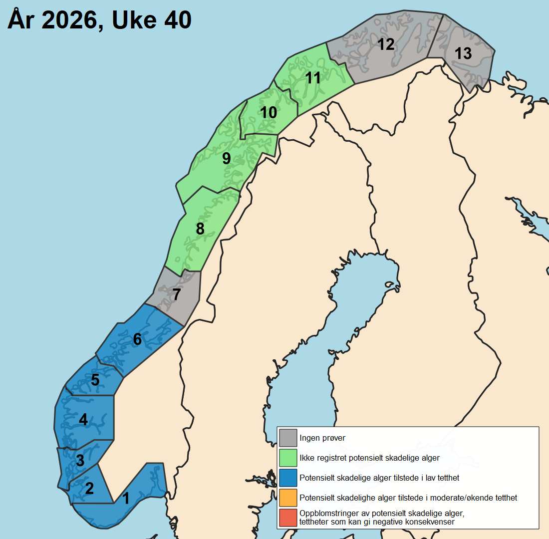 uke40