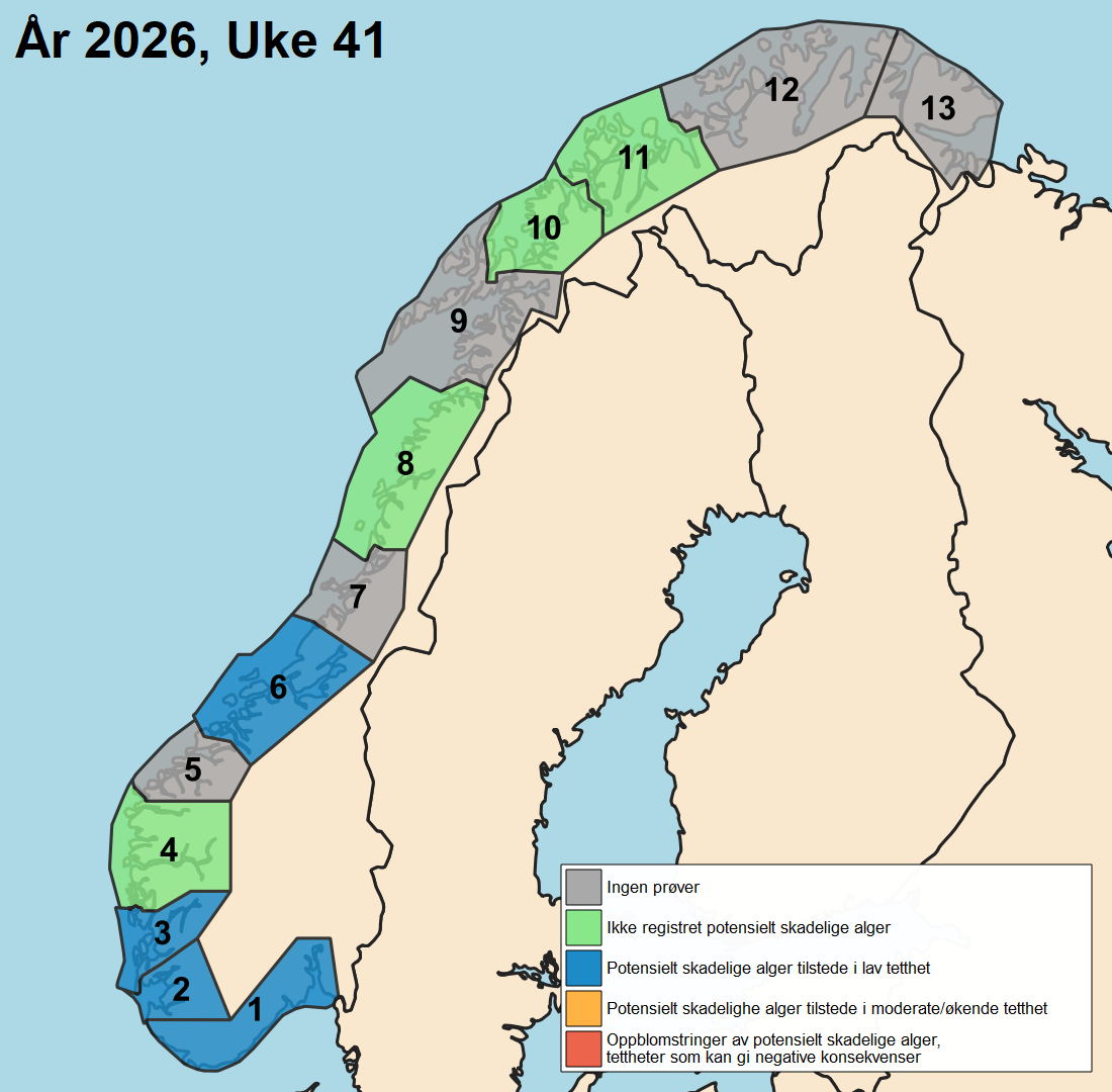 uke41