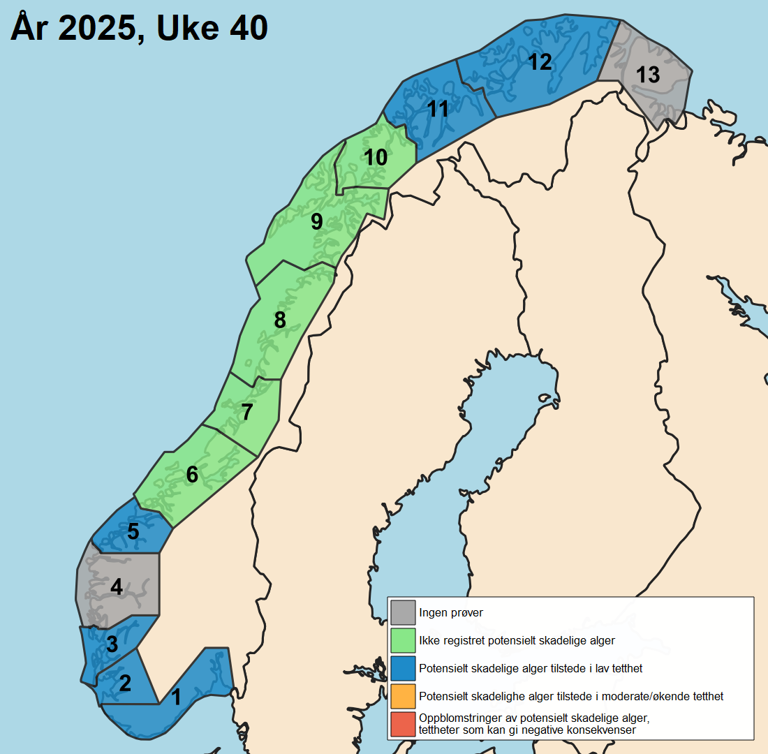 uke40