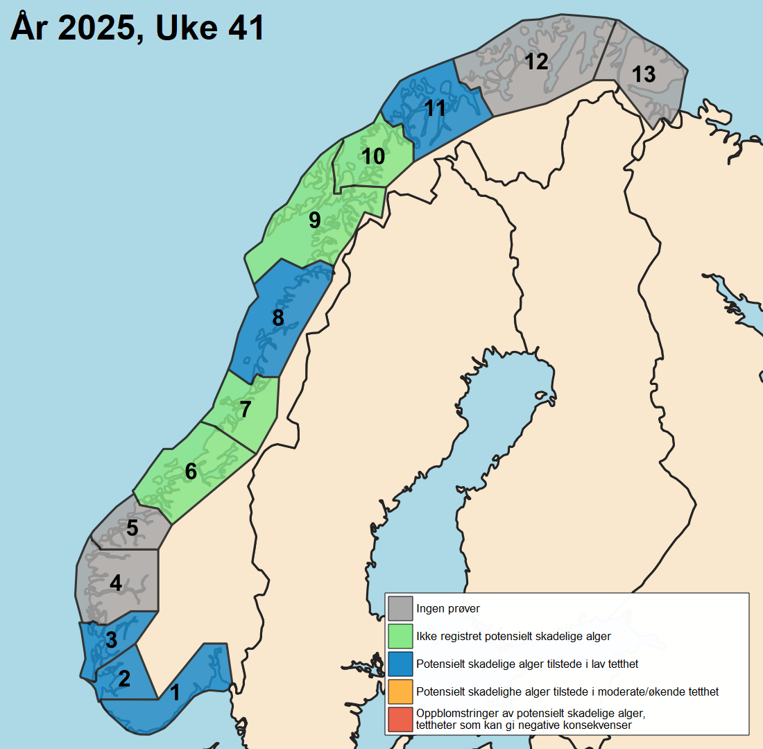uke41