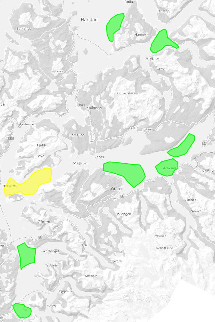 Kart over overvåkningen i pilotområdet. Gul farge indikere tilstedeværelse av skadelige alger i lav tetthet. Grønn farge angir områder der det ikke er registret potensielt skadelige alger i uke 21. 